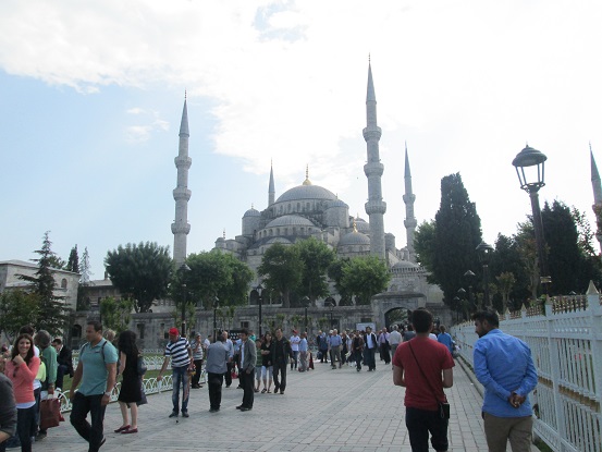 Not quite as blue as the name implies.