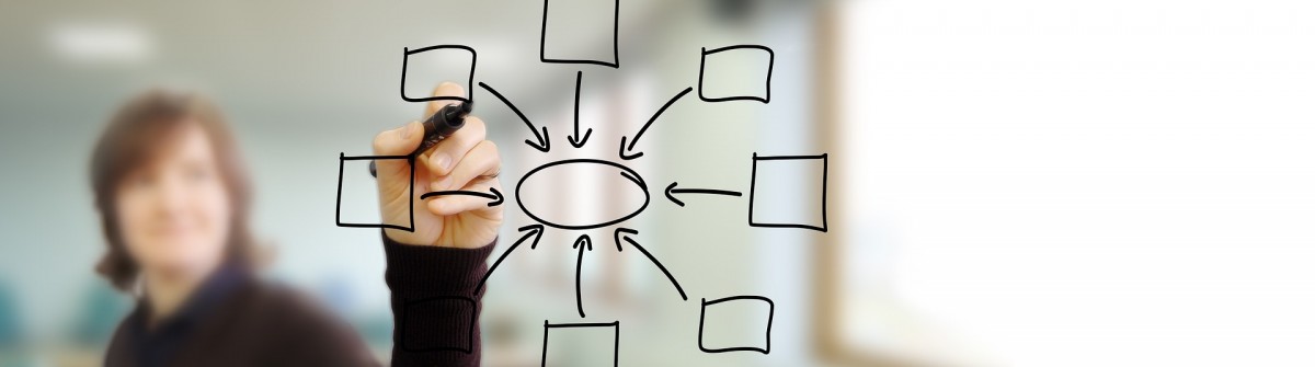 When Founding a Business, Be Wary of Stray Ideas